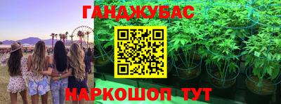 индика Мариинск