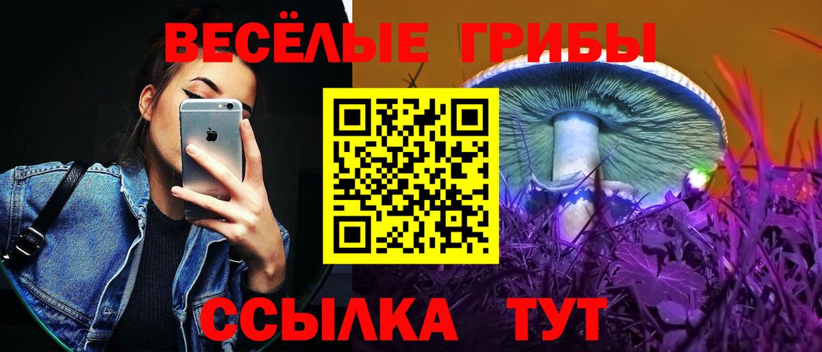 Псилоцибиновые грибы Magic Shrooms Дедовск