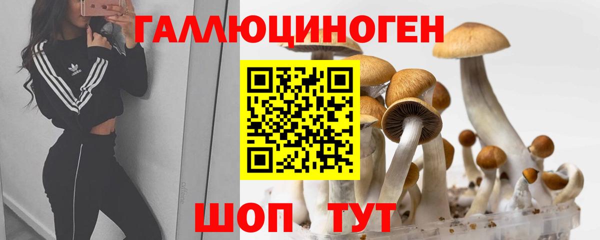 Дедовск  Псилоцибиновые грибы Psilocybe  Вход с VPN 